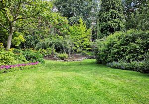 Optimiser l'expérience du jardin à Rigny-Saint-Martin