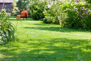 travaux jardin et paysage Rigny-Saint-Martin